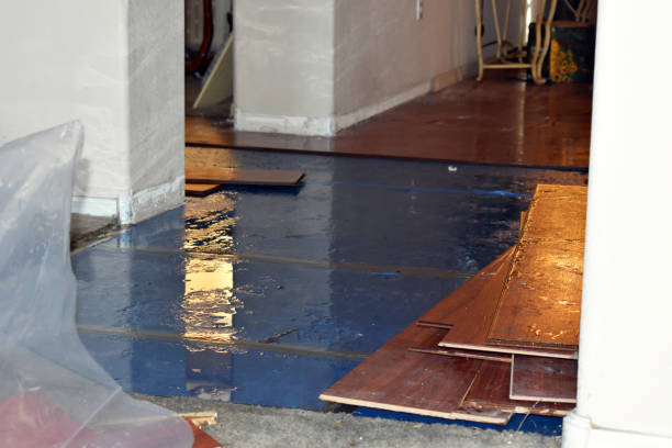 Professional Sewage Cleanup technician working in Collinsville, TX